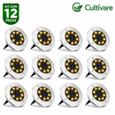 Luzes Solares para Jardim com 8 LEDs À prova d'água IP65 - Para Gramado, Interior, Pátio, Decoração 🔥